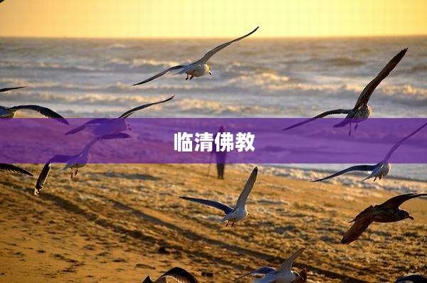 临清佛教