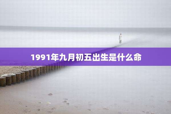 1991年九月初五出生是什么命