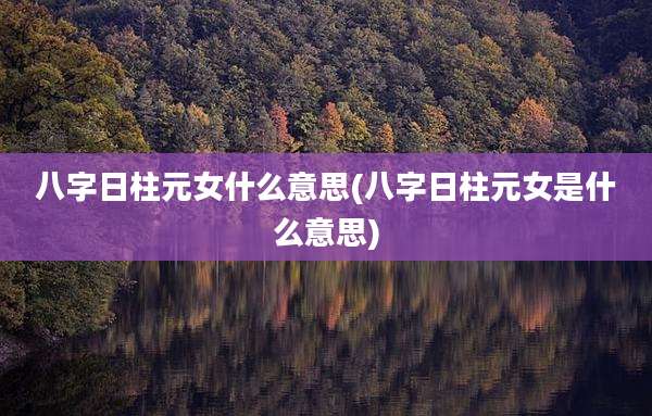 八字日柱元女什么意思(八字日柱元女是什么意思)