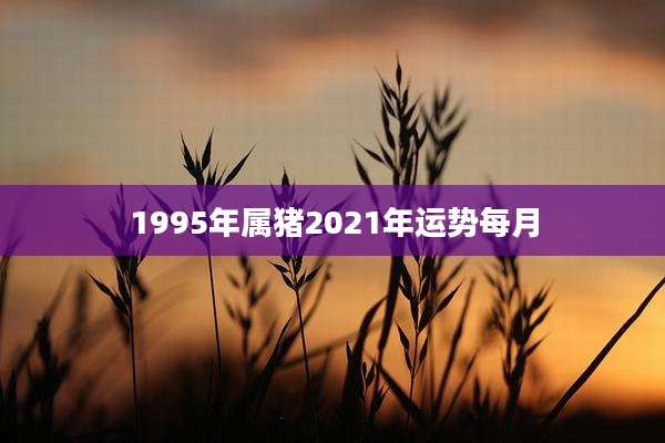 1995年属猪2021年运势每月