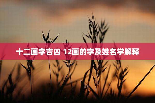十二画字吉凶 12画的字及姓名学解释