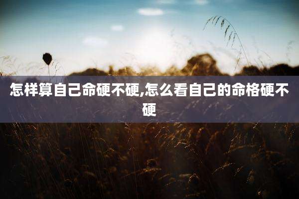 怎样算自己命硬不硬,怎么看自己的命格硬不硬
