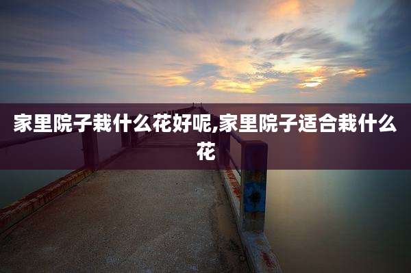 家里院子栽什么花好呢,家里院子适合栽什么花