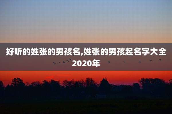 好听的姓张的男孩名,姓张的男孩起名字大全2020年