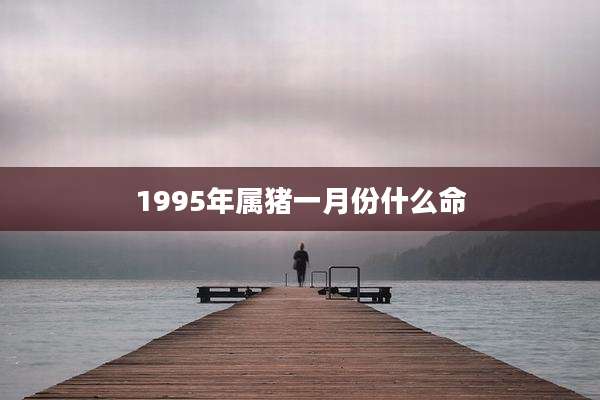 1995年属猪一月份什么命