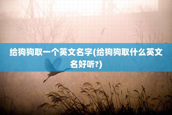 给狗狗取一个英文名字(给狗狗取什么英文名好听?)