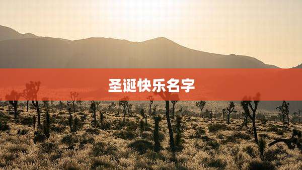 圣诞快乐名字