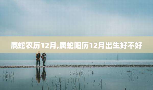 属蛇农历12月,属蛇阳历12月出生好不好
