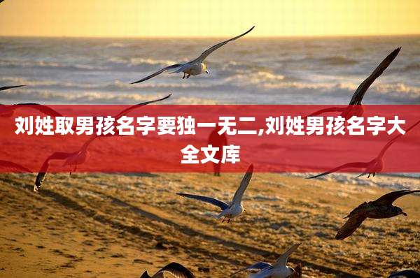 刘姓取男孩名字要独一无二,刘姓男孩名字大全文库