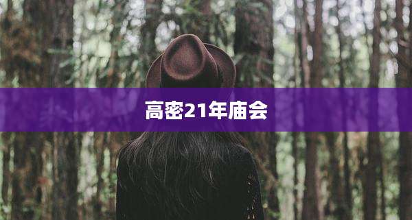 高密21年庙会
