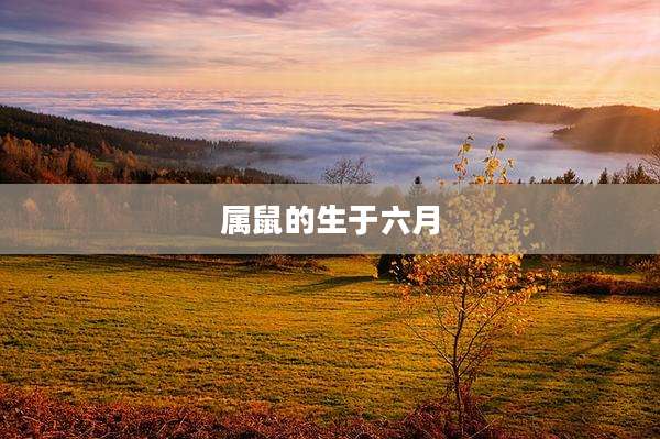 属鼠的生于六月