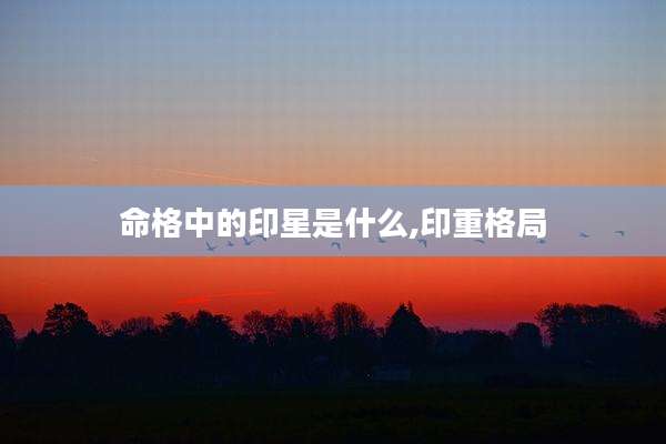 命格中的印星是什么,印重格局