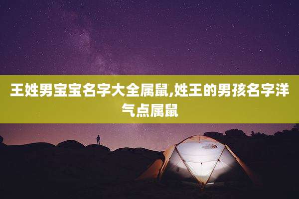 王姓男宝宝名字大全属鼠,姓王的男孩名字洋气点属鼠