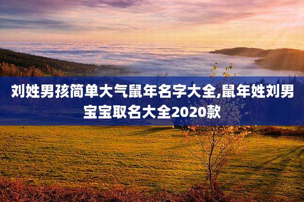 刘姓男孩简单大气鼠年名字大全,鼠年姓刘男宝宝取名大全2020款