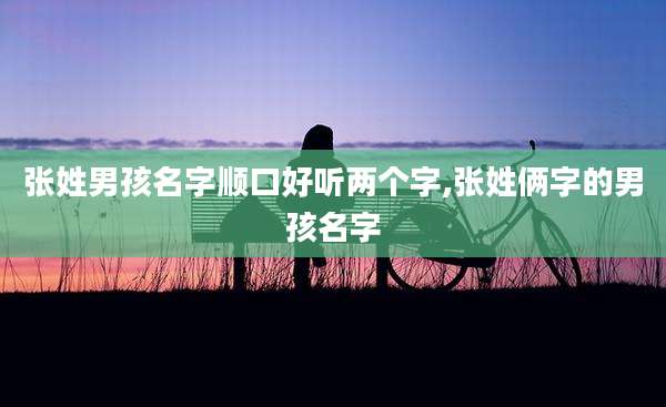 张姓男孩名字顺口好听两个字,张姓俩字的男孩名字