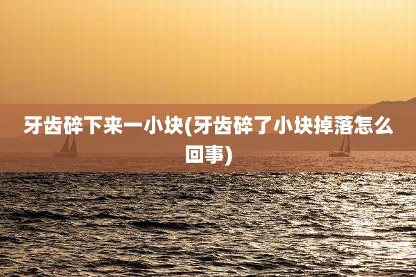 牙齿碎下来一小块(牙齿碎了小块掉落怎么回事)