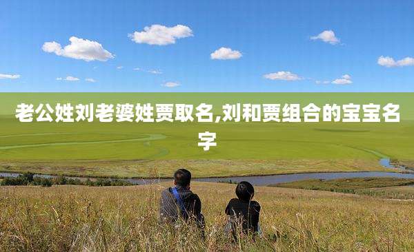 老公姓刘老婆姓贾取名,刘和贾组合的宝宝名字