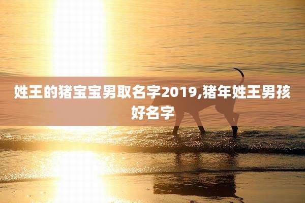 姓王的猪宝宝男取名字2019,猪年姓王男孩好名字