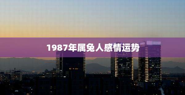1987年属兔人感情运势