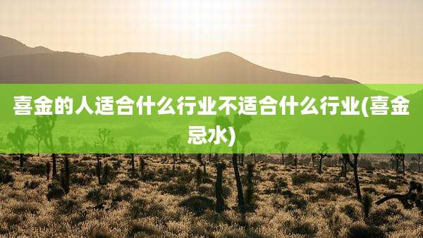 喜金的人适合什么行业不适合什么行业(喜金忌水)