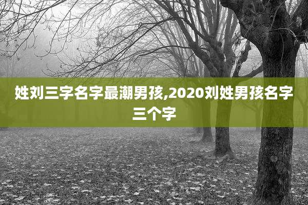 姓刘三字名字最潮男孩,2020刘姓男孩名字三个字