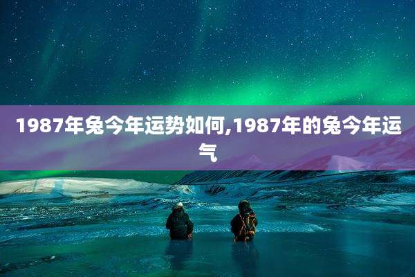 1987年兔今年运势如何,1987年的兔今年运气