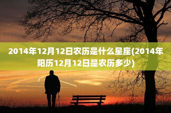 2014年12月12日农历是什么星座(2014年阳历12月12日是农历多少)
