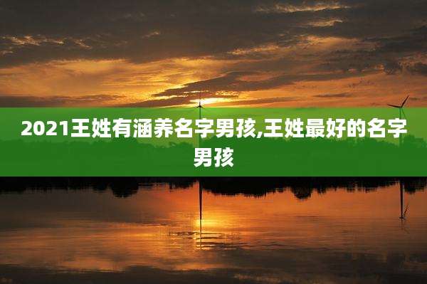 2021王姓有涵养名字男孩,王姓最好的名字男孩