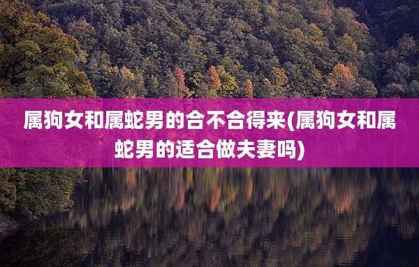 属狗女和属蛇男的合不合得来(属狗女和属蛇男的适合做夫妻吗)