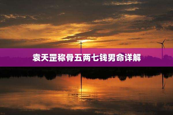 袁天罡称骨五两七钱男命详解