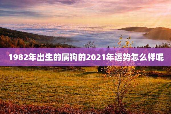1982年出生的属狗的2021年运势怎么样呢