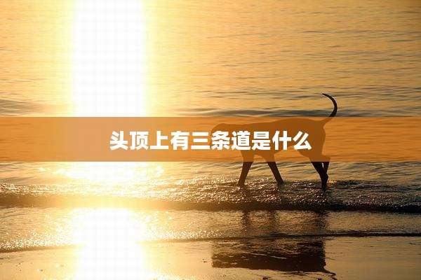 头顶上有三条道是什么