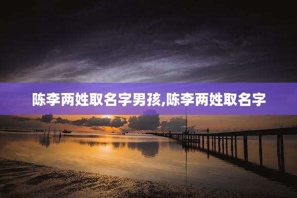 陈李两姓取名字男孩,陈李两姓取名字