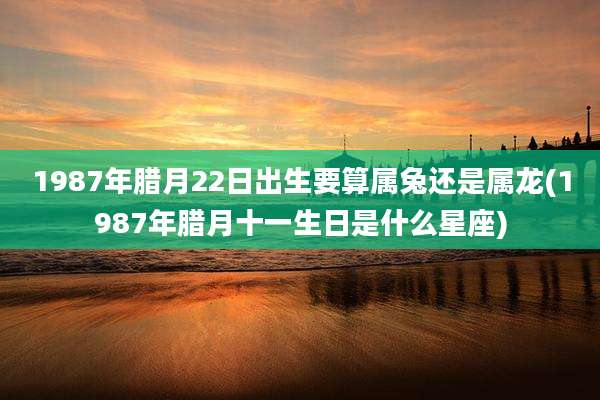 1987年腊月22日出生要算属兔还是属龙(1987年腊月十一生日是什么星座)