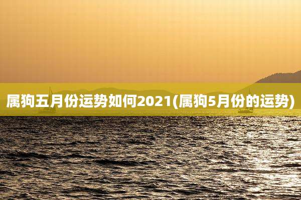 属狗五月份运势如何2021(属狗5月份的运势)