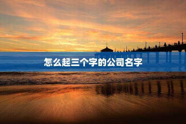 怎么起三个字的公司名字