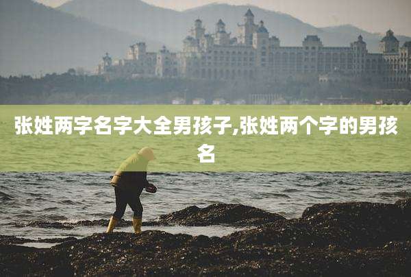 张姓两字名字大全男孩子,张姓两个字的男孩名