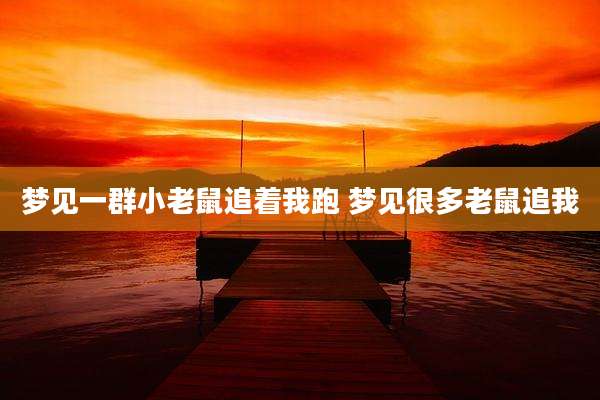 梦见一群小老鼠追着我跑 梦见很多老鼠追我