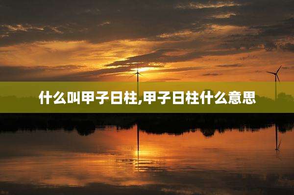 什么叫甲子日柱,甲子日柱什么意思