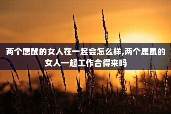 两个属鼠的女人在一起会怎么样,两个属鼠的女人一起工作合得来吗