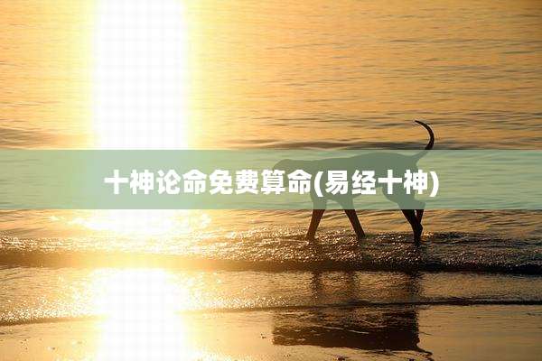 十神论命免费算命(易经十神)