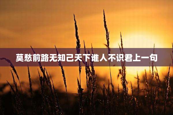 莫愁前路无知己天下谁人不识君上一句