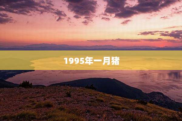 1995年一月猪