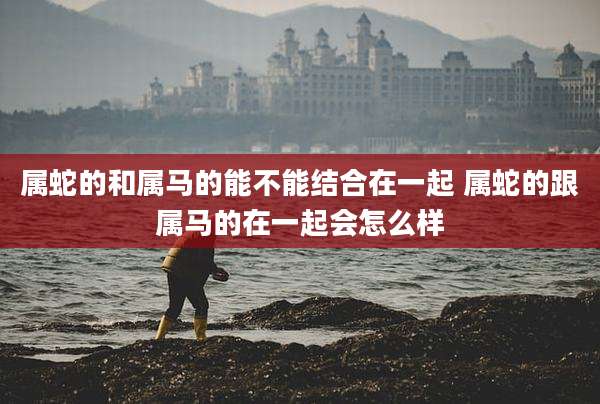 属蛇的和属马的能不能结合在一起 属蛇的跟属马的在一起会怎么样