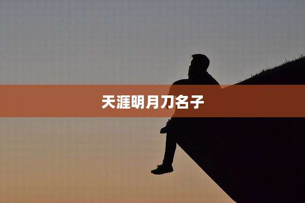 天涯明月刀名子