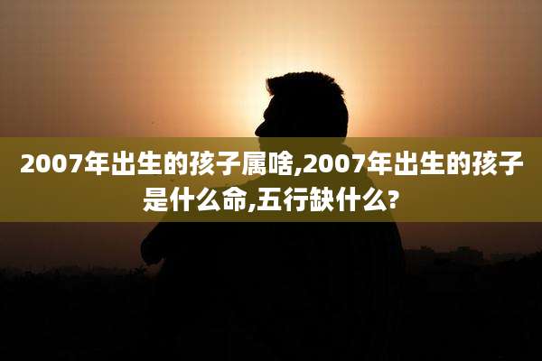2007年出生的孩子属啥,2007年出生的孩子是什么命,五行缺什么?
