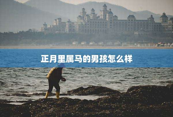 正月里属马的男孩怎么样