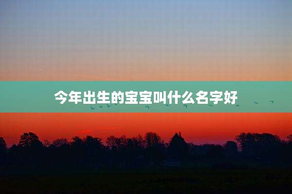 今年出生的宝宝叫什么名字好