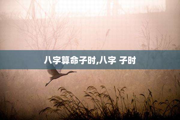 八字算命子时,八字 子时