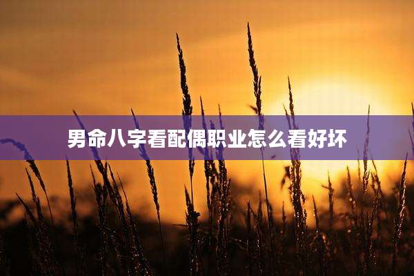 男命八字看配偶职业怎么看好坏